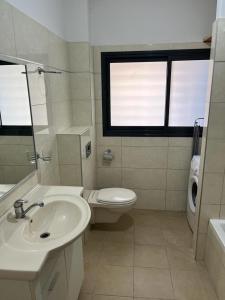 亚实基伦Blue Sea Suite的一间带水槽和卫生间的浴室以及窗户。