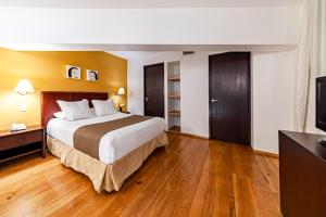 墨西哥城特卡套房酒店的配有一张床和一台平面电视的酒店客房