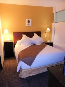 墨西哥城特卡套房酒店的一间位于酒店客房内的带大床的卧室
