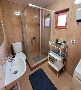 莫克拉戈拉Apartmani D&S的带淋浴、卫生间和盥洗盆的浴室