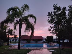 阿瓜斯卡连特斯HOTEL SAN MARCOS的棕榈树和一个带游泳池的房子