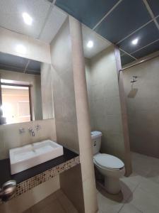 阿瓜斯卡连特斯HOTEL SAN MARCOS的一间带卫生间、水槽和镜子的浴室