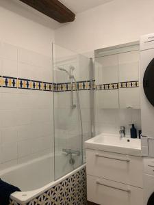 第戎Appartement velouté的带淋浴和盥洗盆的白色浴室