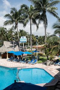 韦拉克鲁斯雅拉瓜酒店的一个带椅子的游泳池,棕榈树