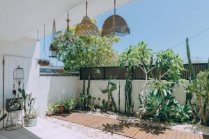 悉尼‘The Lumos’ Designer home Close to Olympic Park的后院,种植了植物,灯火通明
