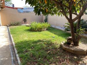 利比里亚Casa Camino Luna Private Rooms的一座有树和草的院子