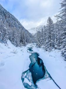 索尔登阿尔盆黑姆西蒙娜酒店的雪覆盖的森林中被雪覆盖的河流