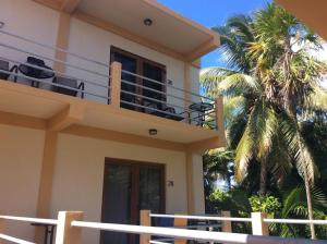 库尔克岛Beach Club Condos at Popeyes的带阳台和棕榈树的房子