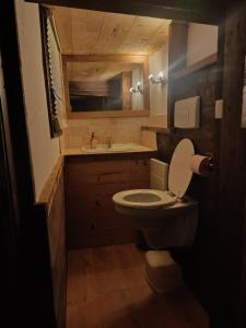 夏蒙尼-勃朗峰Three Bedroomed Chalet Apartment的一间带卫生间和水槽的小浴室