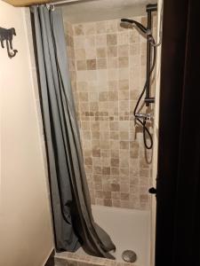 夏蒙尼-勃朗峰Three Bedroomed Chalet Apartment的浴室内配有淋浴帘。