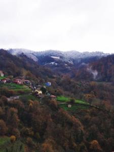 米耶雷斯La Nozal - La Vallicuerra Casas Rurales的享有山谷的空中景致,设有树木和房屋