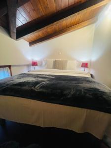 阿拉霍瓦Parnassos Snow Hill Chalet的一间卧室设有一张带木制天花板的大床
