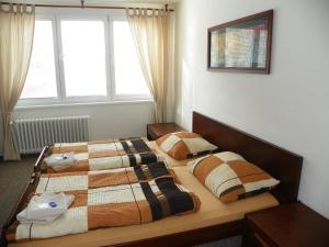 俄斯特拉发杜姆阿里欧酒店的一间卧室设有两张床和窗户。