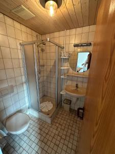 特赖斯-卡尔登Mike‘s Mosel Lodge的带淋浴、卫生间和盥洗盆的浴室