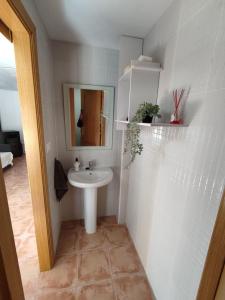 巴尔德利纳雷斯Casa Carla vute-22-056的一间带水槽和镜子的浴室
