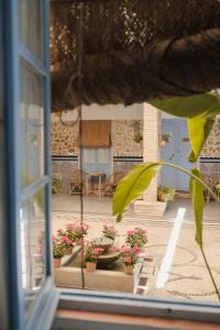 科尔多瓦CASA SIRFANTAS的享有种植了盆栽植物的庭院的窗户