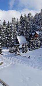 弗拉西克Apartmani Porodica Karalić Vlašić的雪覆盖森林中部的小屋