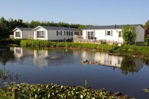 登堡Vakantiepark Dennenoord的房子前面的水里有几个鸭子