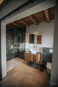 马尔梅迪# A Mont Nos'Hôtes的带淋浴、盥洗盆和卫生间的浴室