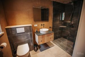 马尔梅迪# A Mont Nos'Hôtes的浴室配有卫生间、盥洗盆和淋浴。
