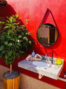 卡诺格布拉达Manitu Flat Canoa Quebrada的浴室设有水槽、镜子和盆栽植物