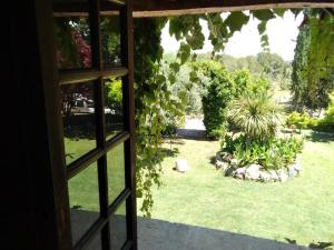 CatllarChilliman & Mas Miró Biofarm的开放式窗户,俯瞰着花园