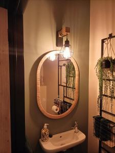 达默SWANder的一间带镜子和水槽的浴室