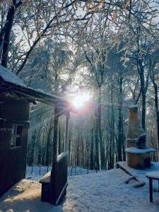 佩济诺克HOTEL GALERIA PEZINSKA BABA的冬天的景象,阳光照耀着树丛