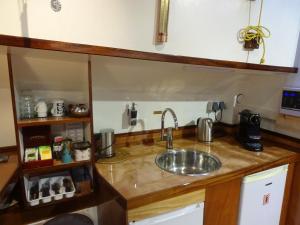 阿姆斯特丹Anna Houseboat的厨房配有水槽和台面