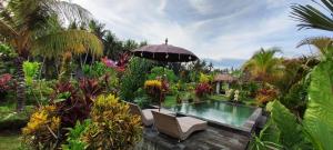 乌布Green Coconut Cottage的一个带游泳池和遮阳伞的花园