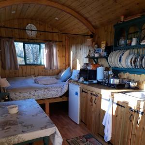巴斯Lower Haven Shepherds Hut的小木屋内的厨房配有床