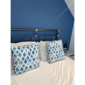 庞特佛雷特Printer's Apprentice的一张蓝色墙壁的床和两个枕头