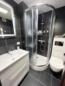 波亚纳布拉索夫Studio Enis的带淋浴、卫生间和盥洗盆的浴室