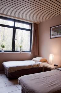 布鲁塞尔布鲁塞尔公寓花园酒店 的带窗户的客房内的两张床