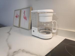 卢戈Apartamentos CANDEA的厨房柜台配有咖啡壶和搅拌机