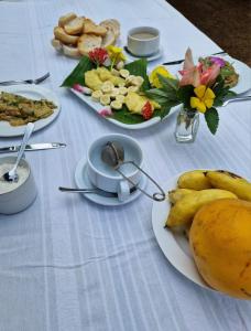 Santo AntónioWorld's View Wild Camping Salaszoi, Principe Island的一张桌子,上面放着食物和水果盘