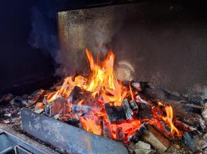 富尔纳斯维斯塔多河谷酒店的火在火炉中燃烧