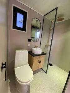 BarmenOcean View Stad的一间带卫生间、水槽和镜子的浴室