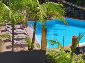富尔纳斯维斯塔多河谷酒店的享有棕榈树游泳池的顶部景致