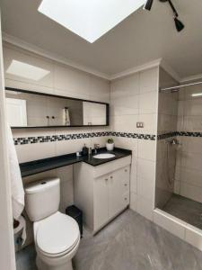 圣地亚哥Bello y cómodo departamento a minutos del centro的浴室配有卫生间、盥洗盆和淋浴。