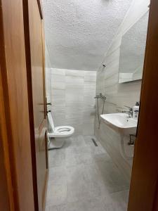 DeçanPerroi Shqiptar的一间带卫生间和水槽的浴室