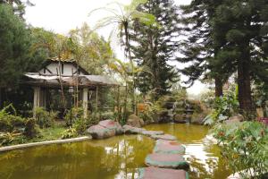 金马仑高原金马仑高原遗物酒店的花园里的池塘,水中岩石