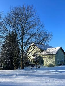 亚诺夫Pension U Václava的房子旁边的雪中树