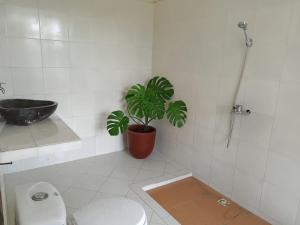 日惹Rosella Cottage - Homestay - Kitchen Yogyakarta的一间带卫生间和盆栽的浴室