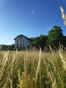 马里博尔包玛利博酒店的一片高大的草场,有房子在后面