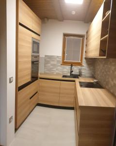 霍茨科波霍尔耶Apartment Appohorje的一个带木制橱柜和水槽的厨房