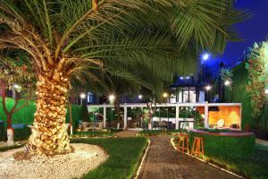 伊斯坦布尔Walton Gardens Pera的棕榈树在晚上在建筑物前