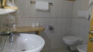 塞尔瓦迪加尔代纳山谷Hotel Casa Alpina - Alpin Haus的浴室配有白色卫生间和盥洗盆。