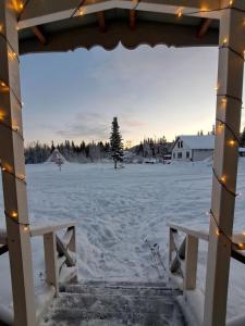 基律纳Aurora River Camp Glass igloos & cabins的享有雪覆盖的庭院和圣诞灯的景色