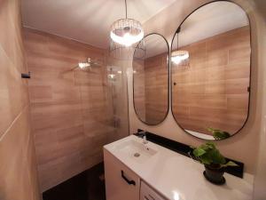 贝梅奥Andra Mari Apartamentu Turistikoak的一间带水槽和大镜子的浴室